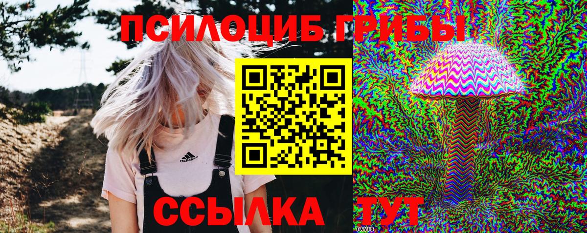 Фролово  Псилоцибиновые грибы GOLDEN TEACHER  Галлюциногенные грибы Magic Shrooms  Вход с VPN 